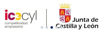 ICECYL, Junta de Castilla y León