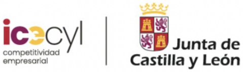 ICECYL, Junta de Castilla y León
